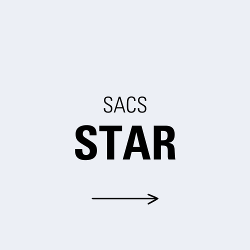STAR BAGS
