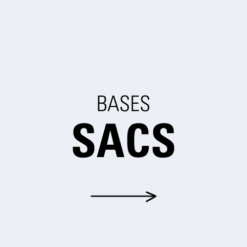 BASES BAGS